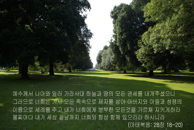 data55220_mt28_1820 copy